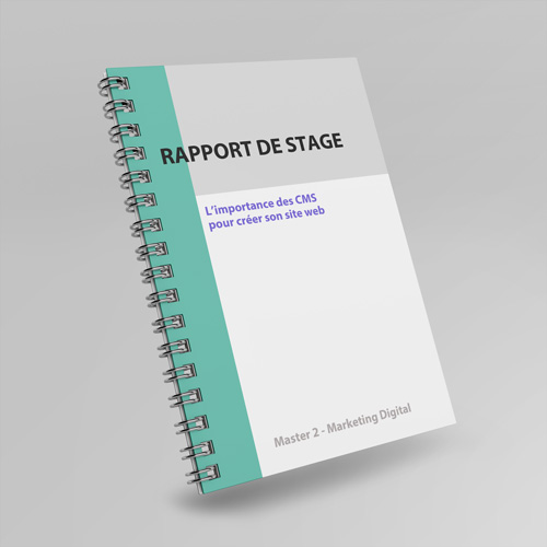 Illustration d'un rapport de stage, présentant une mise en page soignée avec une couverture professionnelle, un sommaire structuré et des sections détaillant les missions, compétences acquises et conclusions. Idéal pour partager votre expérience en entreprise de manière claire et organisée.