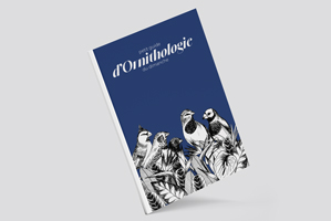 reliure thermocollée