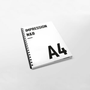 Reliure plastique pas cher