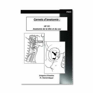 Carnet anatomie UE12