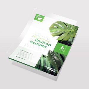 Flyer A4 Pelliculé