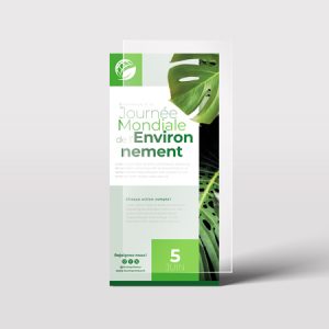 Impression flyer DL pelliculage