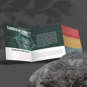 Dépliant 63x21 cm 3 volets standard