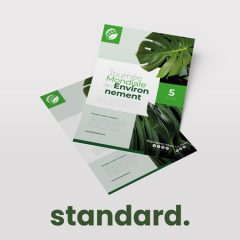 Flyers Standards - J+4-8